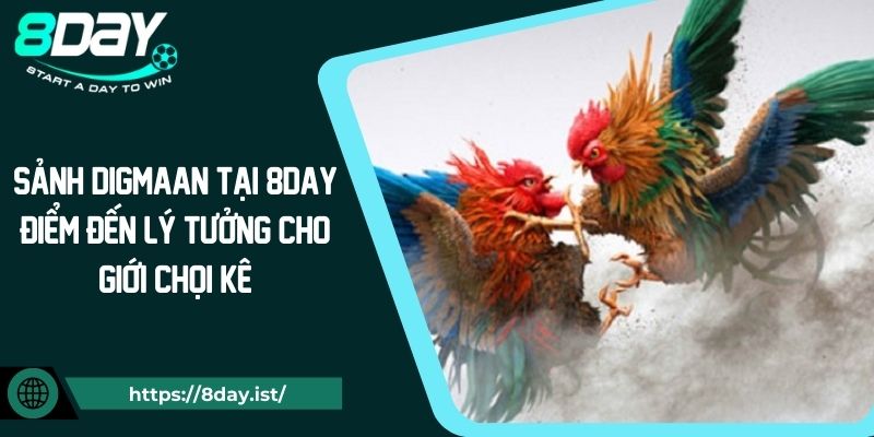 Sảnh Digmaan tại 8Day – Điểm đến lý tưởng cho giới chọi kê