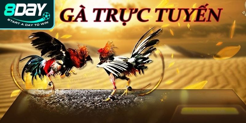 Giới thiệu đá gà trực tuyến 