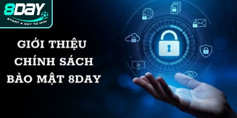 Sơ lược chung về chính sách bảo mật 8Day