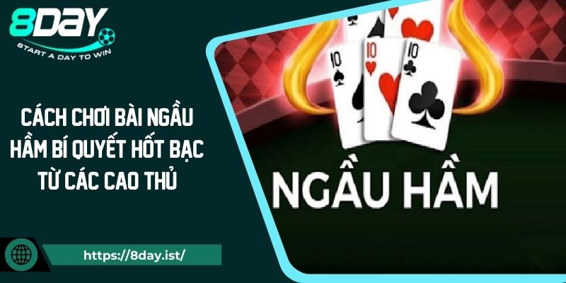 Cách Chơi Bài Ngầu Hầm Bí Quyết Hốt Bạc Từ Các Cao Thủ